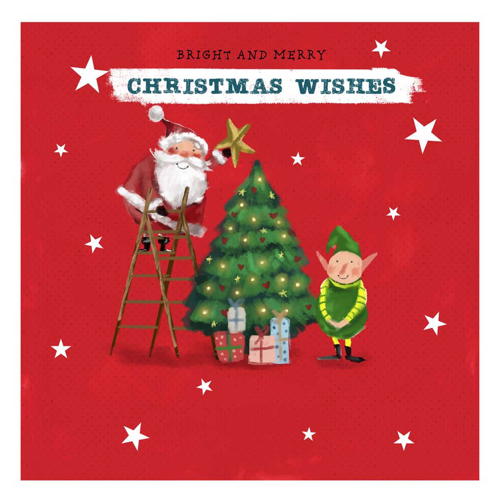 Christmas Wishes Charity Cards - Box of 16