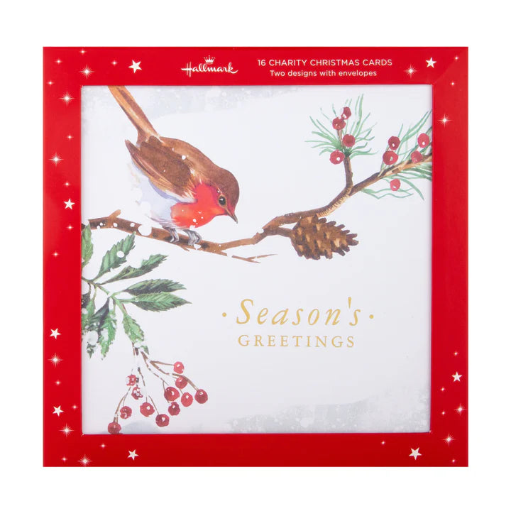 Charity Christmas Cards - Pack of 16 in 2 Robin Designs