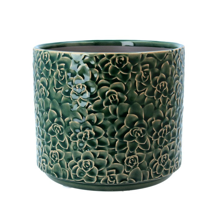 Ceramic Pot Cover 17cm - Green Succulents