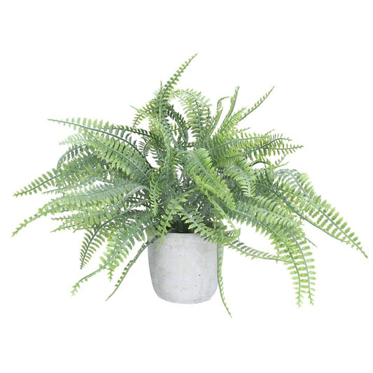 Potted Plant 30cm - Faux Spider Fern