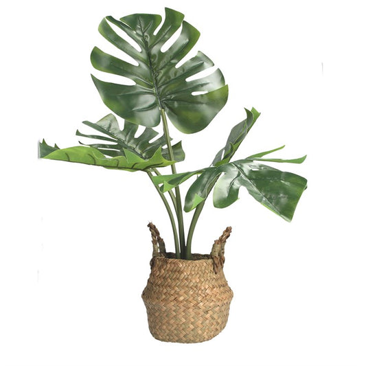 Potted Plant 68cm - Faux Cheese Plant in Rattan Basket Orn