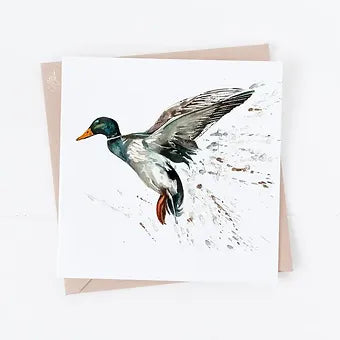 Mallard | British Animals Greeting Card