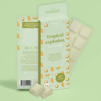 Soy Wax Melt Snap Bars