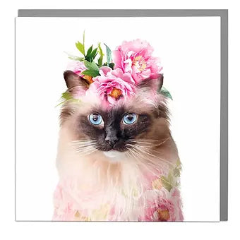 Rag Doll Cat Blank Art Greeting Card