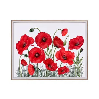 Poppy Framed Canvas Picture