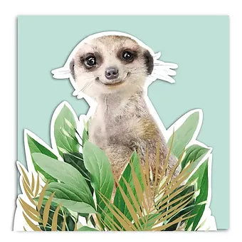 Meercat 3D Card - Lola Design X Zsl