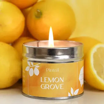 Pintail Lemon Grove Classic Tin Candle