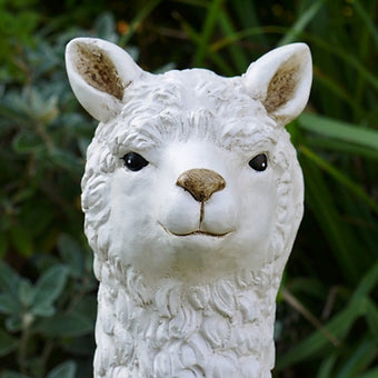 Adorable Llama (White)