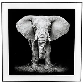 Decor Picture Square Large Elephant