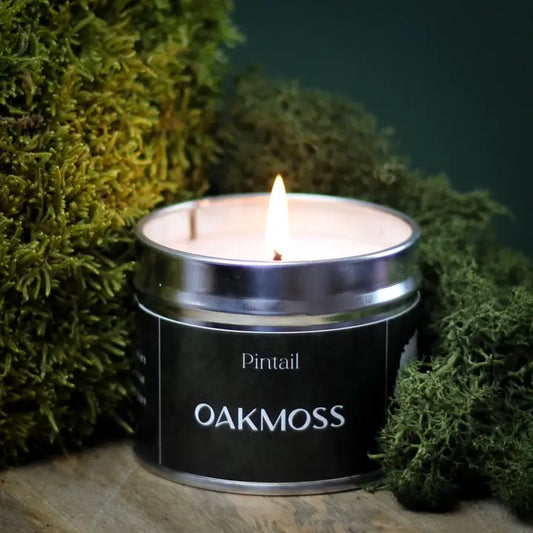 Oakmoss Classic Tin Candle