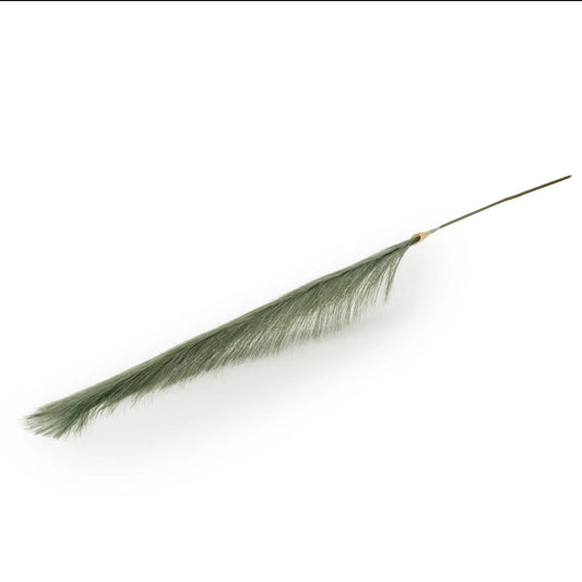 Olive Single Pampas Grass 130cm