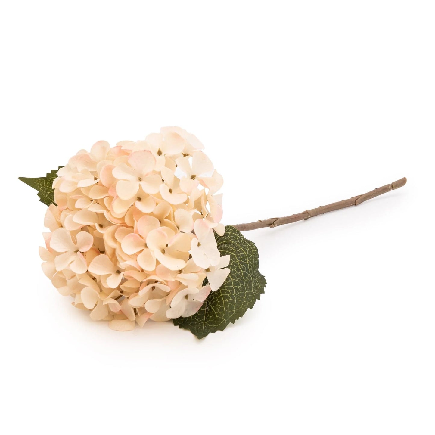 Single Hydrangea Two Tone Cream Faux Stem 46cm