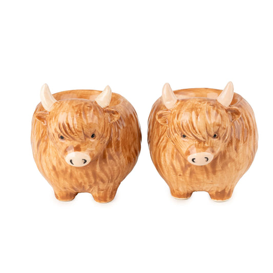 Set of 2 3D Egg Cups Highland Cow