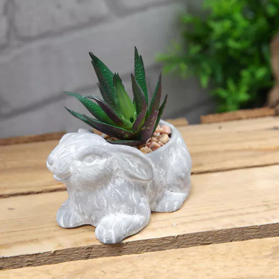 Cement Effect Rabbit Planter with Succulent