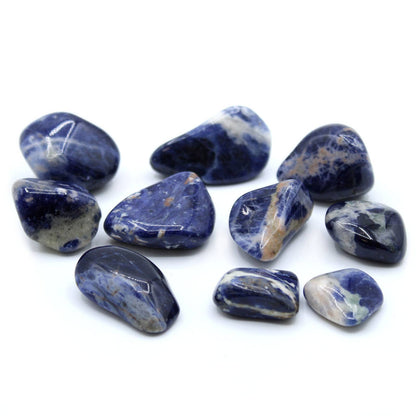 Large Tumble Stones - Sodalite